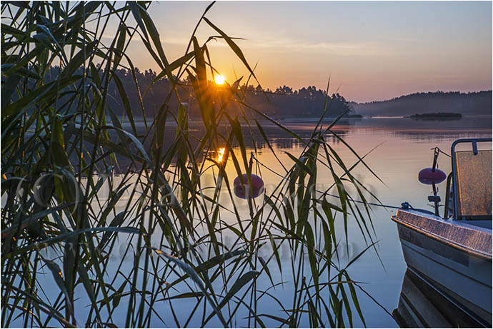 Gryning i sk&auml;rg&aring;rden - foto av Eva Bucksch